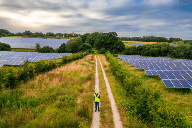 A person standing on a dirt road with solar panels in the background.